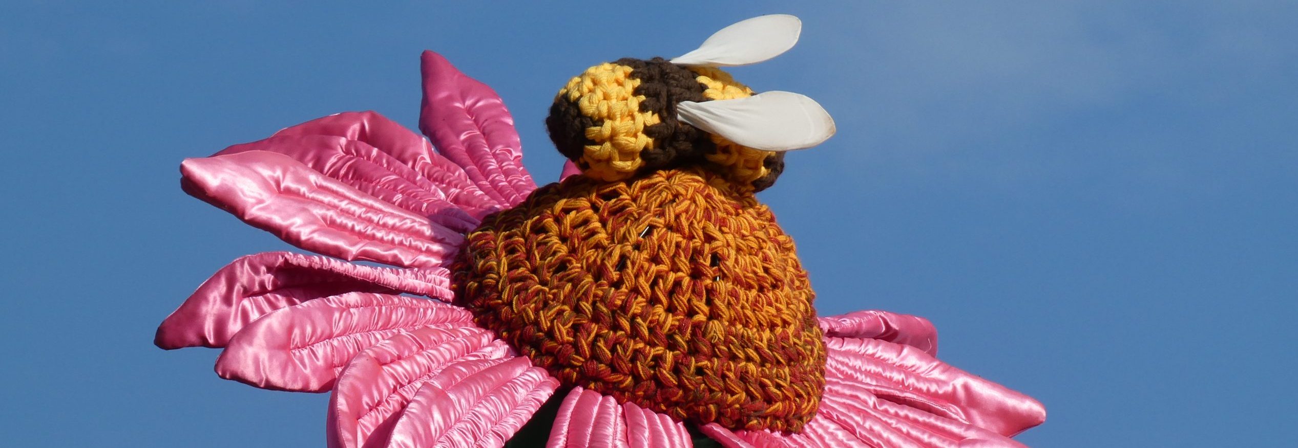 Derbyshire Beekeepers